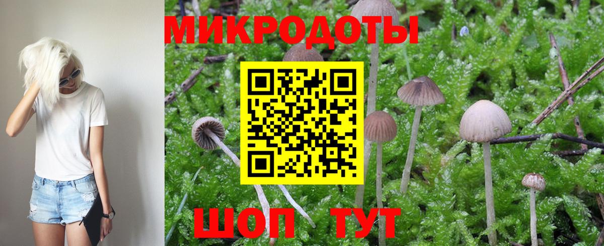 Бор  Псилоцибиновые грибы Cubensis  Вход с VPN 